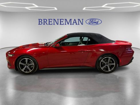 Used 2024 Ford Mustang Premium image 8