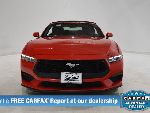 Used 2024 Ford Mustang Convertible image 2