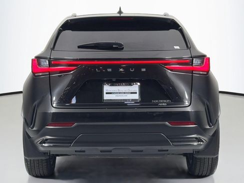 Used 2025 Lexus NX 350h AWD w/ Cold Area Package image 3