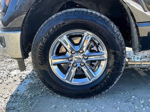 Used 2025 Ford F150 XLT w/ Equipment Group 301A Standard image 8