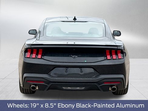 New 2026 Ford Mustang Coupe w/ Mustang Nite Pony Package image 8