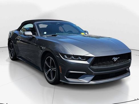 Used 2024 Ford Mustang Premium RWD image 1