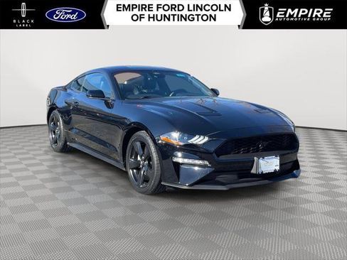 Used 2023 Ford Mustang Premium w/ Mustang Nite Pony Package image 1