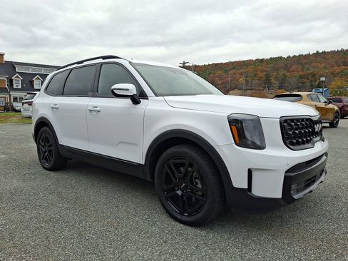 Used 2024 Kia Telluride SX Prestige X-Line image 1