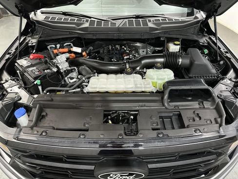 Used 2024 Ford F150 XLT w/ Equipment Group 302A MID AWD/4WD image 20
