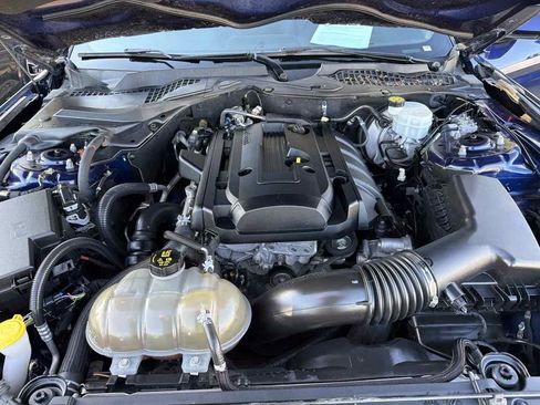 Used 2019 Ford Mustang Coupe RWD image 20