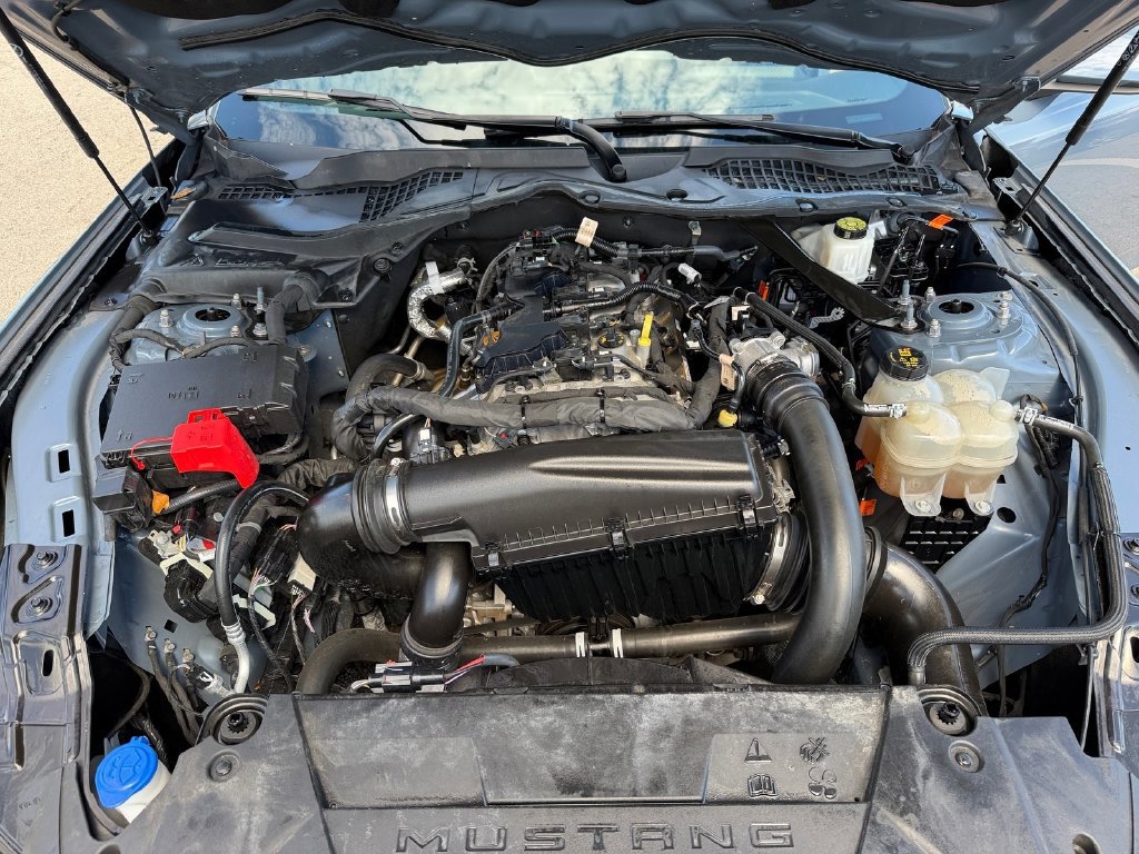 Used 2024 Ford Mustang Premium RWD image 18