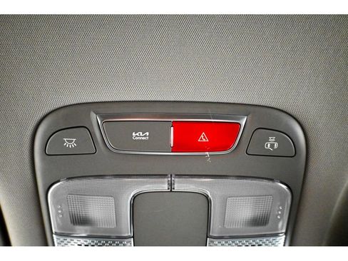 New 2025 Kia Telluride LX image 31