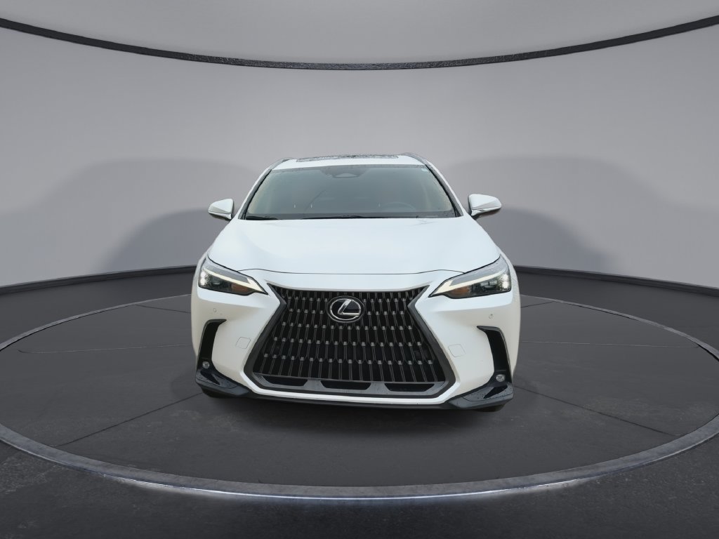 Certified 2024 Lexus NX 350h AWD image 3