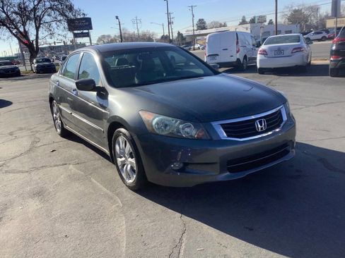 Used 2010 Honda Accord EX-L image 15