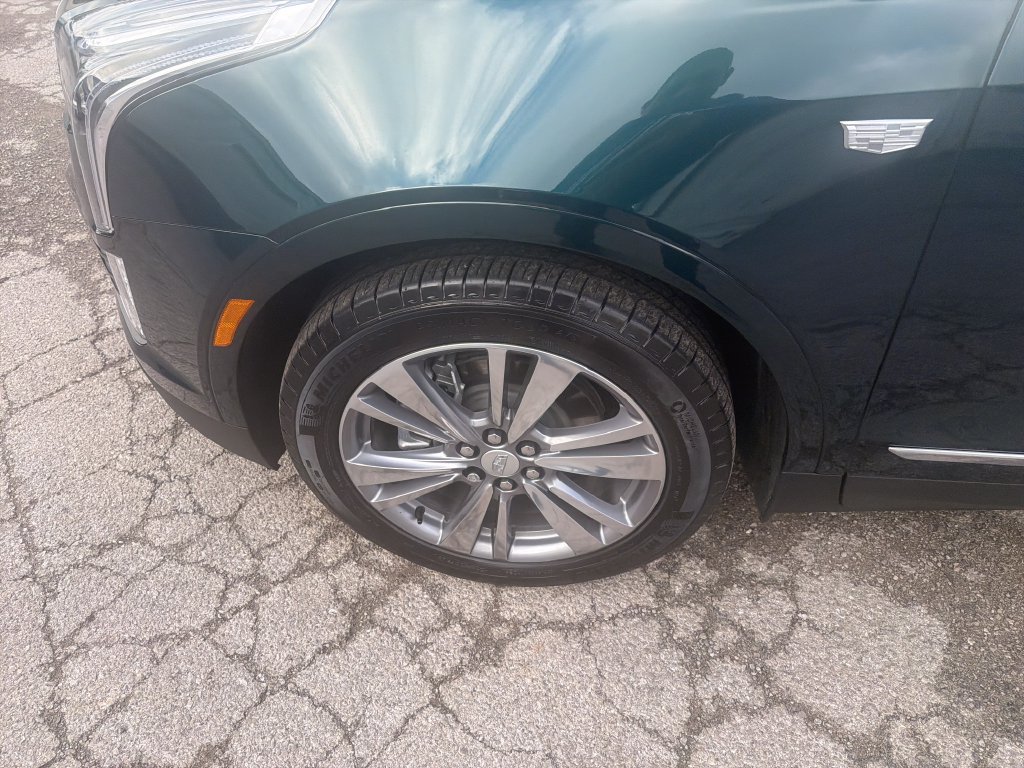 Used 2025 Cadillac XT5 Premium Luxury AWD/4WD image 11