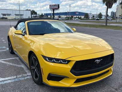 Used 2024 Ford Mustang Premium