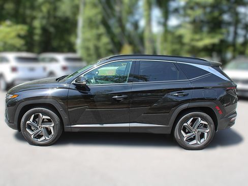 Used 2024 Hyundai Tucson Limited AWD/4WD image 5