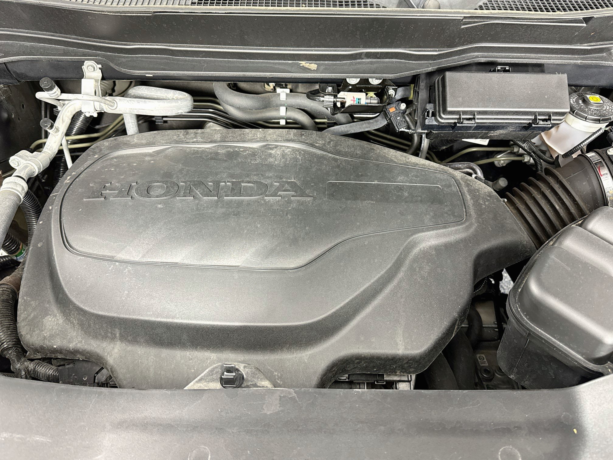 Certified 2024 Honda Passport TrailSport image 30