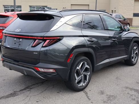 Used 2023 Hyundai Tucson Limited AWD/4WD image 6