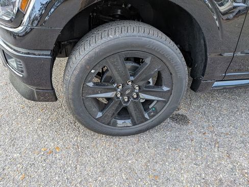 New 2025 Ford F150 STX w/ LOBO Package image 34