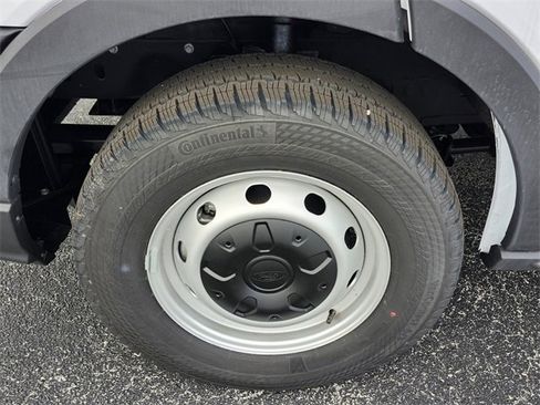 Used 2024 Ford Transit 150 Low Roof w/ Load Area Protection Package image 19