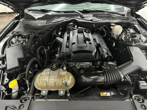 Used 2017 Ford Mustang Premium w/ Pony Package RWD image 12
