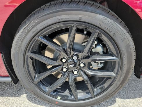 New 2026 Ford Mustang GT Premium w/ Mustang Nite Pony Package RWD image 7
