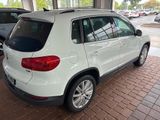Used 2016 Volkswagen Tiguan SE image 3