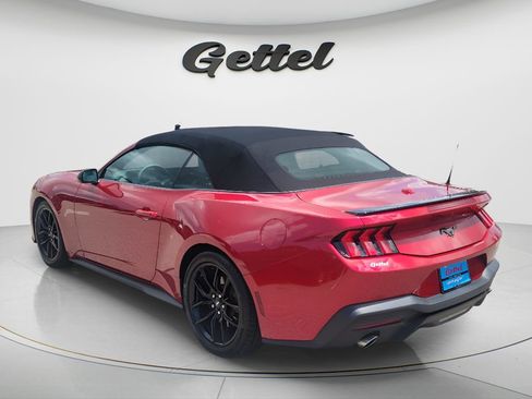 Used 2024 Ford Mustang Premium w/ Mustang Nite Pony Package RWD image 7