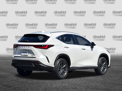 Used 2024 Lexus NX 350h AWD image 5