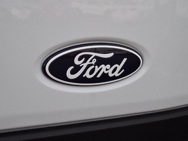 New 2026 Ford Transit 250 148 Medium Roof w/ Load Area Protection Package RWD image 15