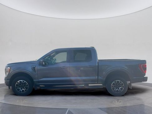 Used 2023 Ford F150 XLT w/ Equipment Group 302A High AWD/4WD image 2