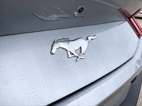 New 2026 Ford Mustang Coupe image 14