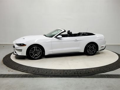 Used 2021 Ford Mustang Premium