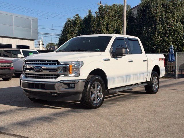 Used 2019 Ford F150 XLT w/ Equipment Group 302A Luxury AWD/4WD image 1