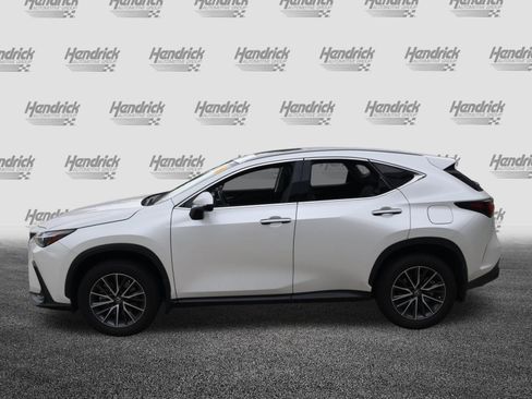 Used 2024 Lexus NX 350h AWD image 6