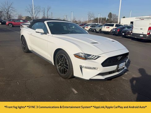Used 2019 Ford Mustang Premium image 5