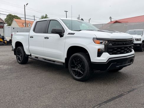 Used 2024 Chevrolet Silverado 1500 Custom Trail Boss w/ Turbomax Blackout Package AWD/4WD image 8