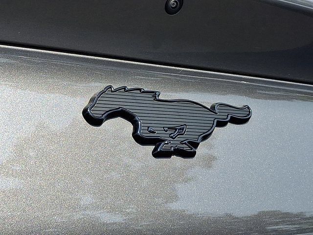 Certified 2023 Ford Mustang Mach-E Premium w/ Mustang Nite Pony Package AWD/4WD image 31