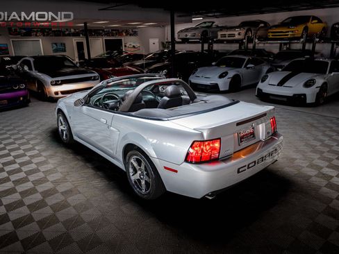 Used 2004 Ford Mustang Cobra RWD image 4