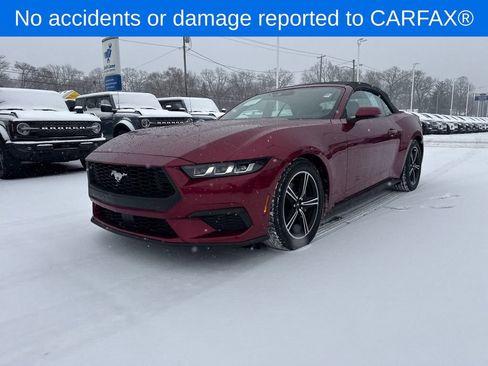 Used 2025 Ford Mustang Premium image 2