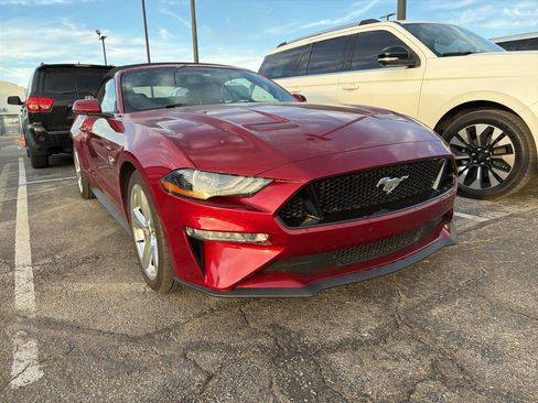 Used 2019 Ford Mustang GT Premium w/ Equipment Group 401A image 4