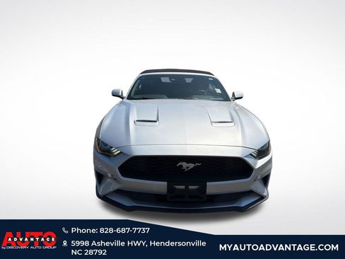 Used 2019 Ford Mustang Premium w/ Equipment Group 201A RWD image 2