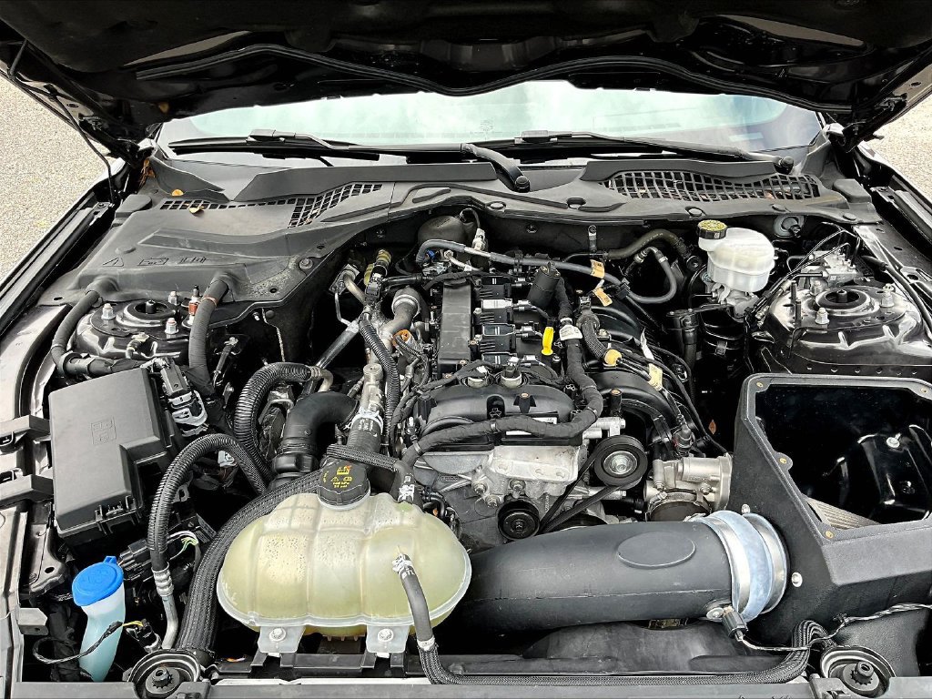 Used 2023 Ford Mustang Coupe w/ Equipment Group 101A RWD image 29