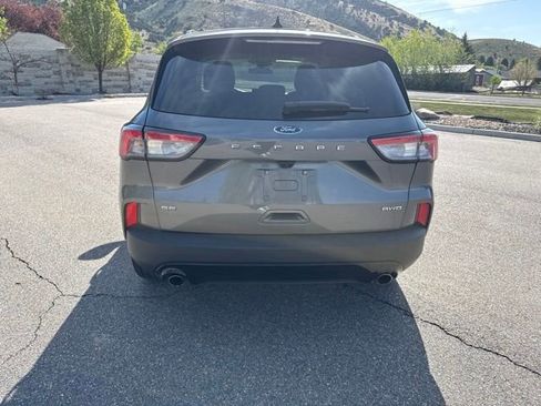 Used 2022 Ford Escape SE w/ SE Sport Appearance Package AWD/4WD image 6