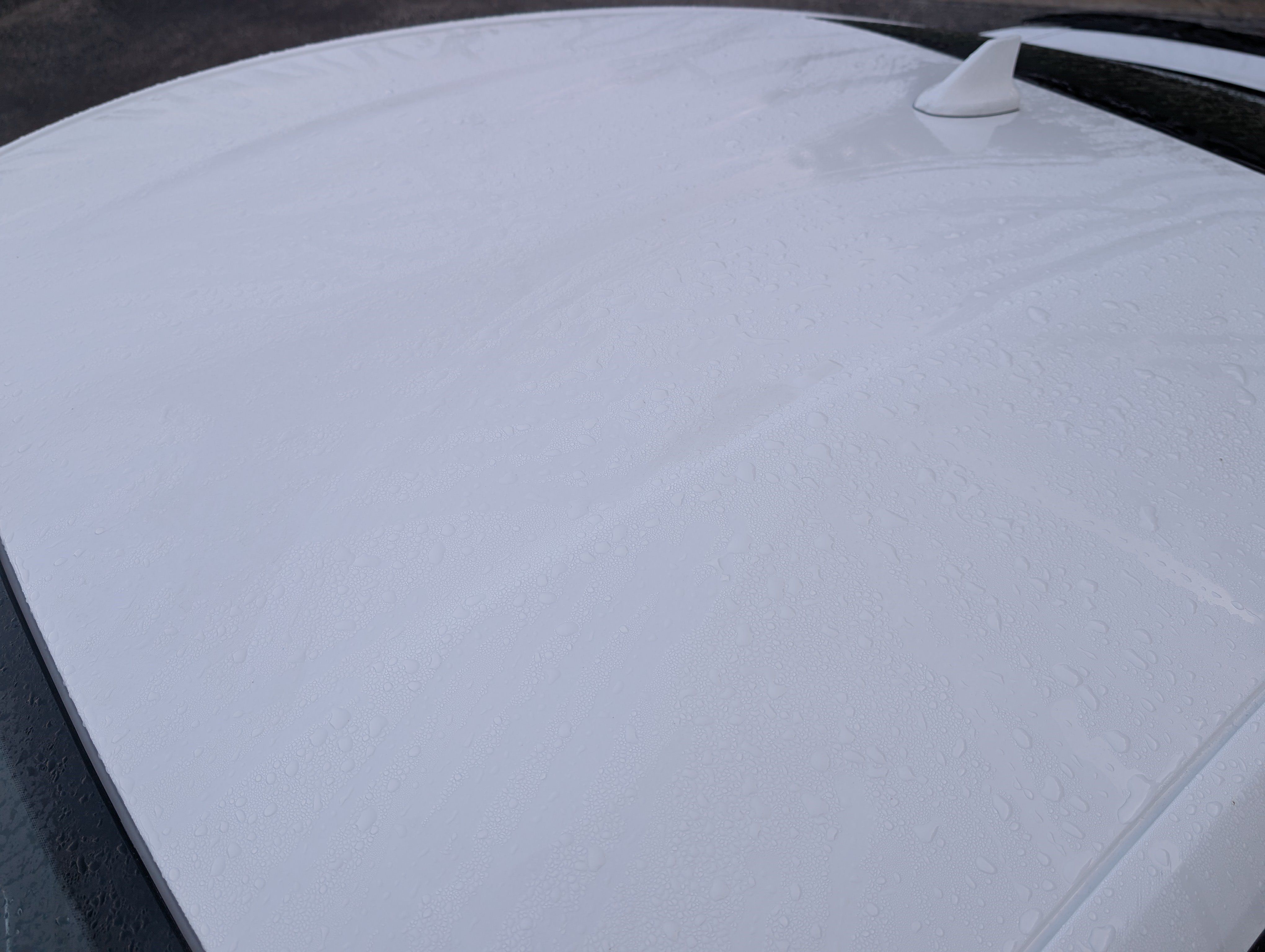 Used 2026 Ford Mustang Premium RWD image 14
