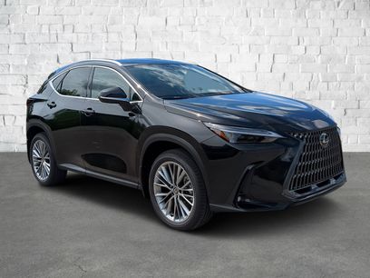New 2026 Lexus NX 350 AWD w/ Luxury Package