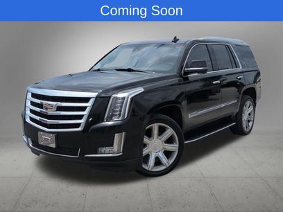 Used 2019 Cadillac Escalade Luxury