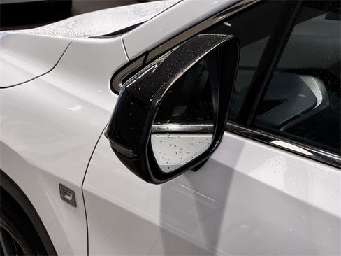 Used 2019 Lexus RX 350 F Sport image 10