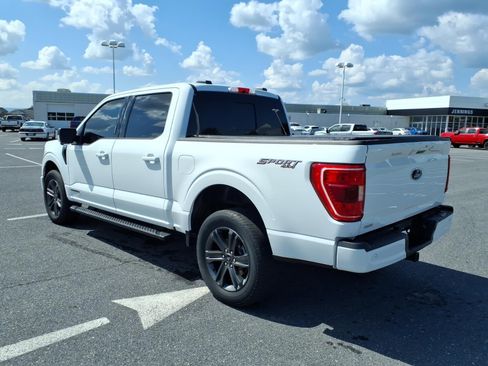 Used 2023 Ford F150 XLT w/ Equipment Group 302A High AWD/4WD image 6