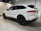 Used 2020 Jaguar F-PACE Premium image 5