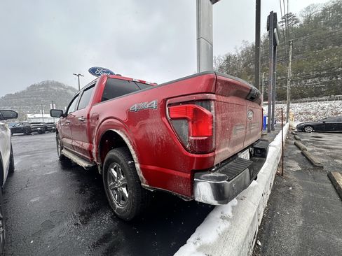 Used 2025 Ford F150 XLT w/ Equipment Group 301A Standard image 4