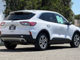 Used 2022 Ford Escape SEL image 5