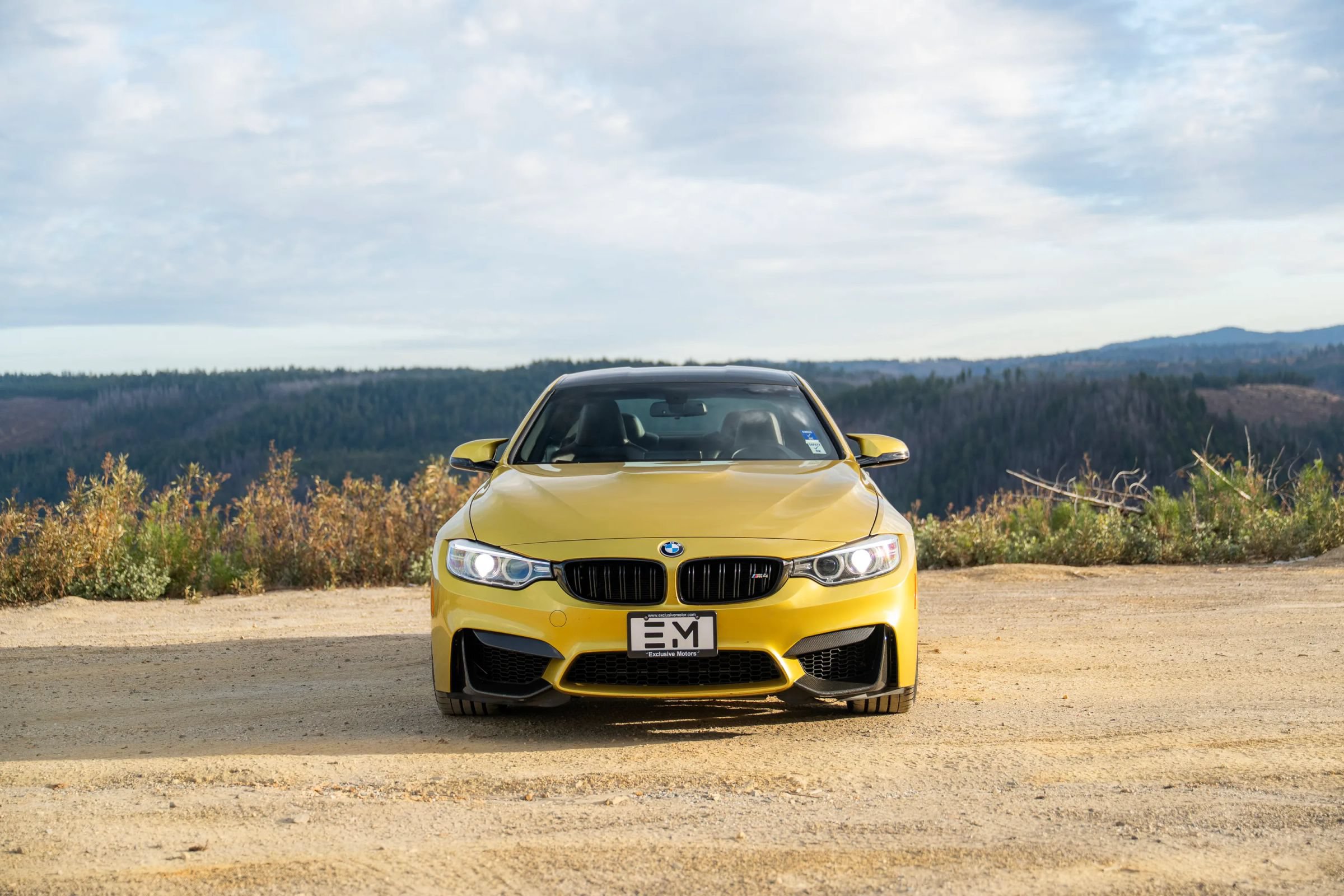 Used 2016 BMW M4 Coupe RWD image 56